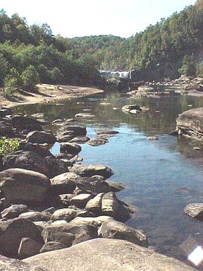rocks