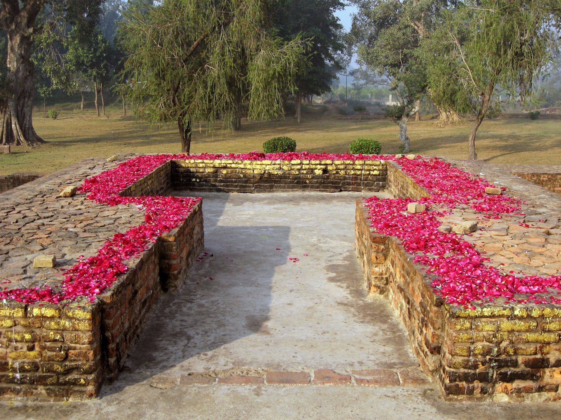 Sravasti